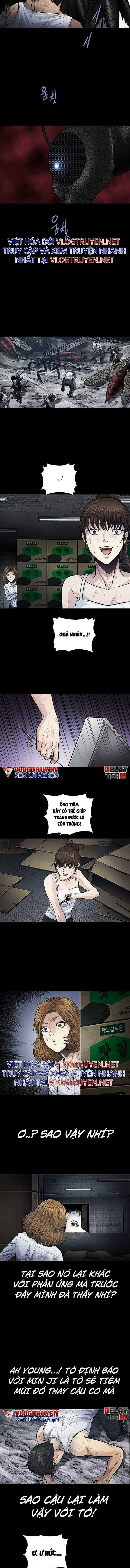 Đọc truyện Hive - Thảm họa ong độc - Chap 254